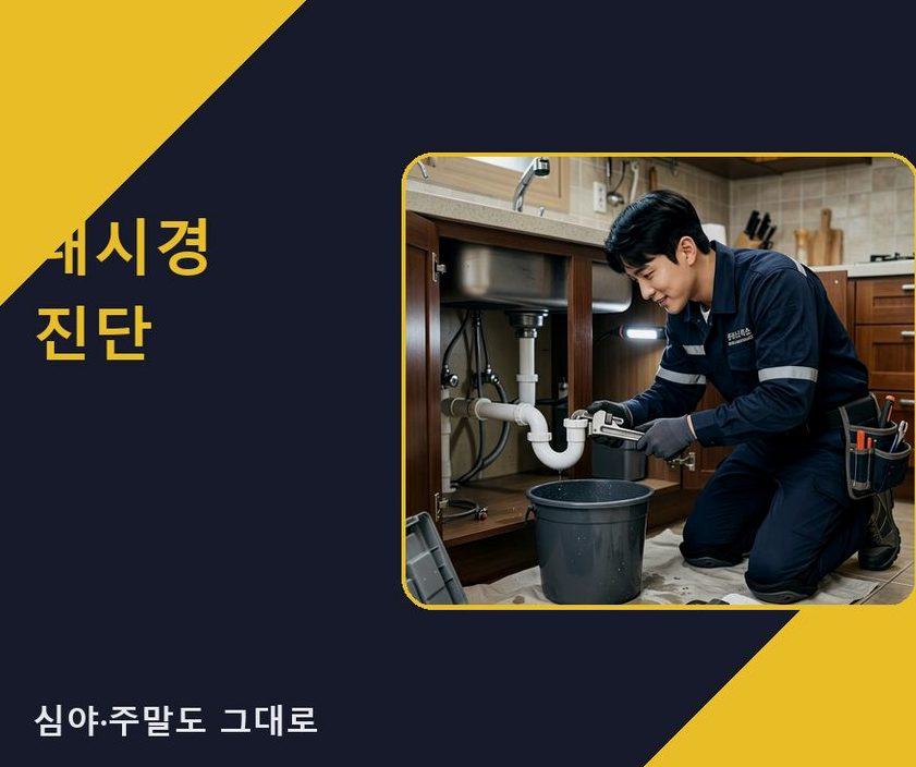 서울 중구 무교동 배수구막힘 원인 진단 현장 작업 사진 - 배관해결사