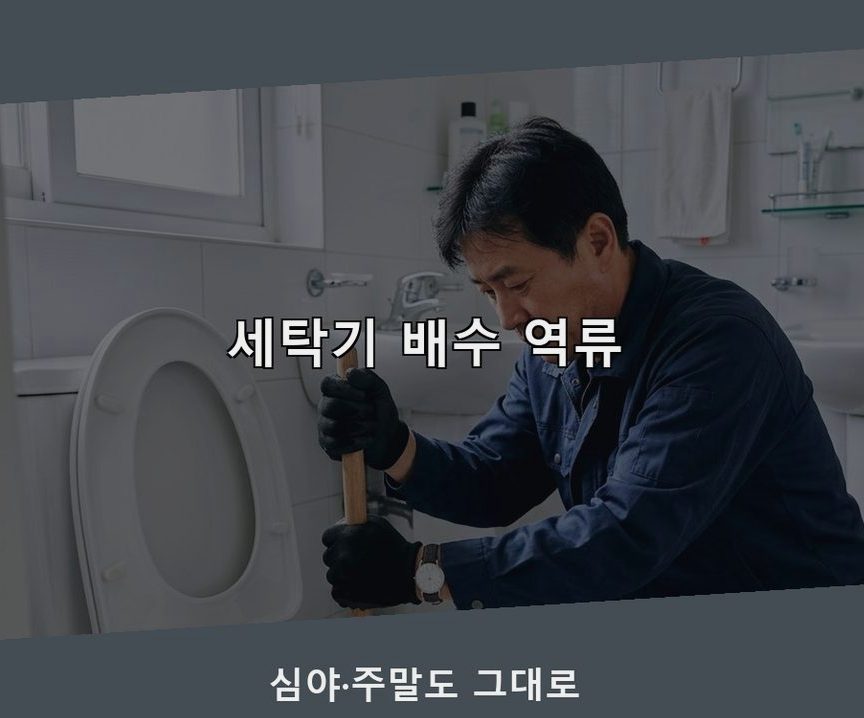 서울 중구 묵정동 변기막힘 가격 안내 현장 작업 사진 - 배관해결사
