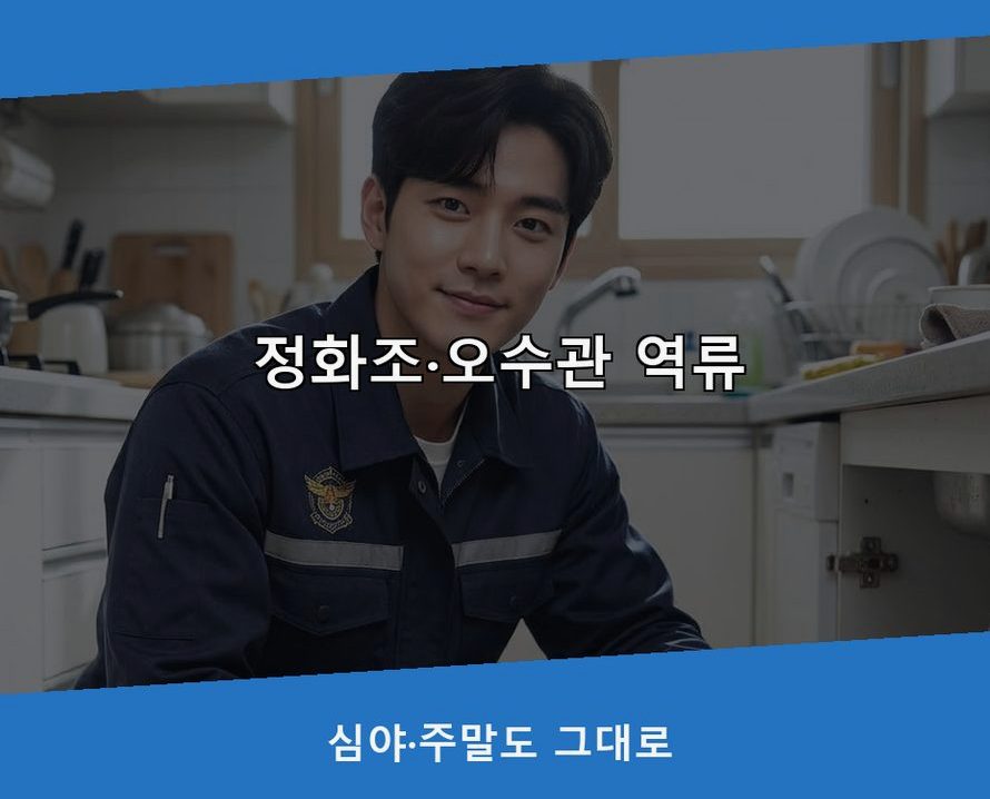 평택시 지제동 싱크대막힘 빠른 해결 현장 작업 사진 - 배관해결사